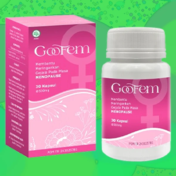 GOOFEM