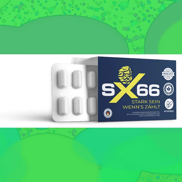 SX 66
